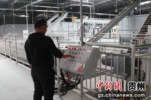 探秘中國(guó)首座白參菌全智能化工廠 自主知識(shí)產(chǎn)權(quán)引領(lǐng)食用菌產(chǎn)業(yè)革命